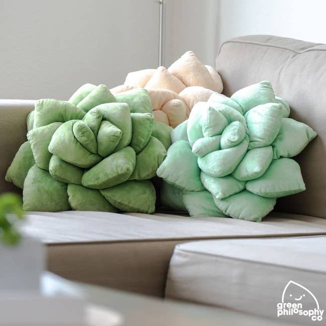 threesucculent pillows on a couch