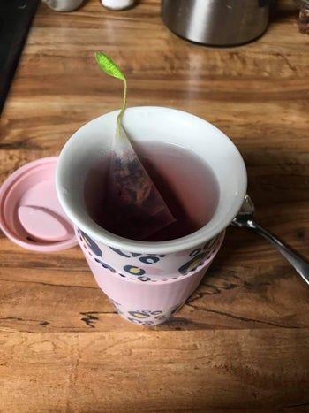 reviewer shows a teabag in a to-go mug