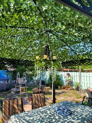 Outdoor patio with ivy privateness  surface  connected  pergola