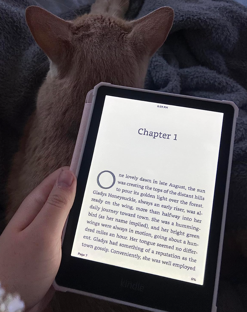 reviewer holding the kindle with page one chapter one of a book on the screen