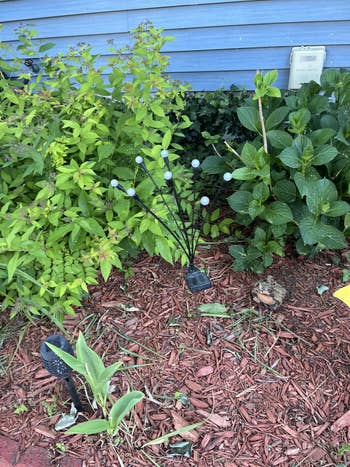 Garden with assorted plants, mulch, and a decorative metallic sculpture featuring branches with circular ornaments