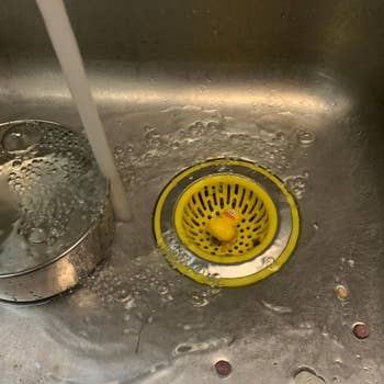 yellow duck version in reviewer's sink