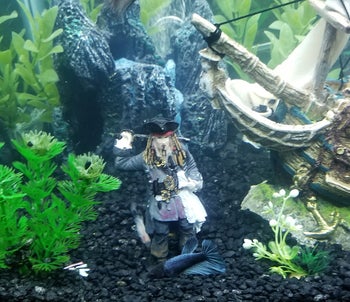 a reviewer's aquarium with the jack sparrow figure in it