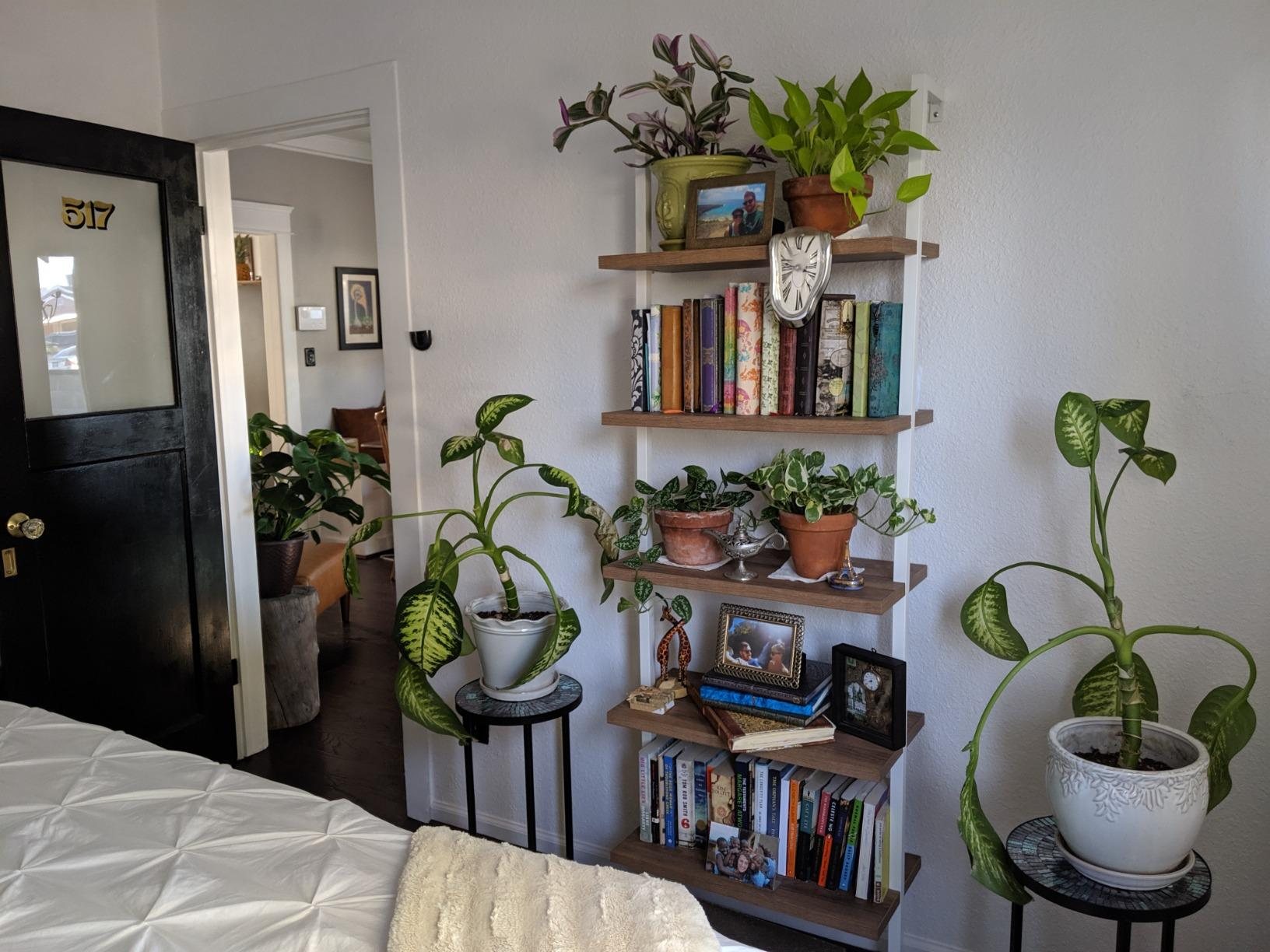 white and wood five-shelf bookcase with plant pots, books, and picture frames