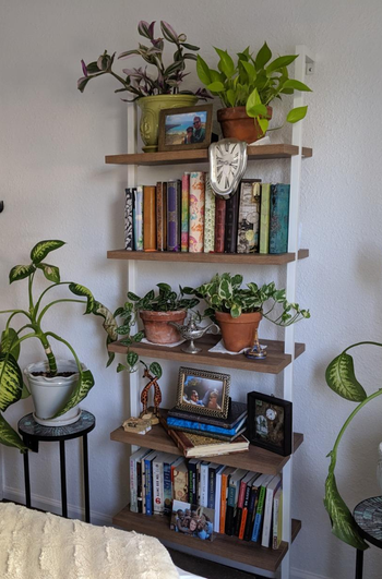 white and wood five-shelf bookcase with plant pots, books, and picture frames