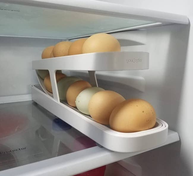 reviewer image of the egg dispenser in a fridge