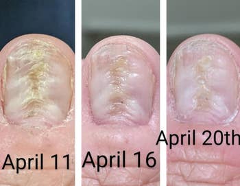 April 11, April 16, and April 20