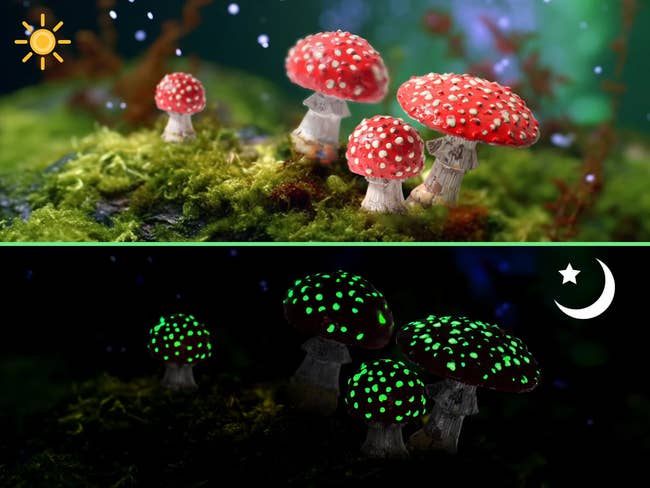 a night and day difference of the glow in the dark mushroom figurines