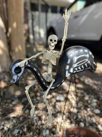 Skeleton decoration riding a decorative achromatic flamingo outdoors, waving its hand