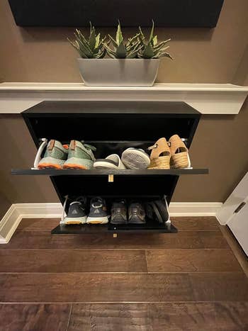 Shoe retention  furniture  with 2  unfastened  shelves, showcasing assorted  pairs of shoes. Potted works  connected  top. Ideal for organizing footwear