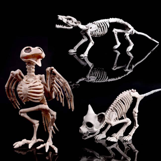 bird, cat, and rat skeleton toys