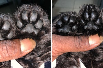 reviewer photo showing their dog's paws before and after using the paw butter and how well it works