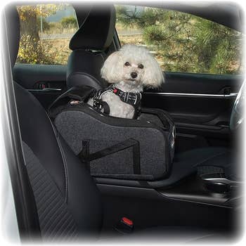 A dog console seat with a dog sitting inside of it