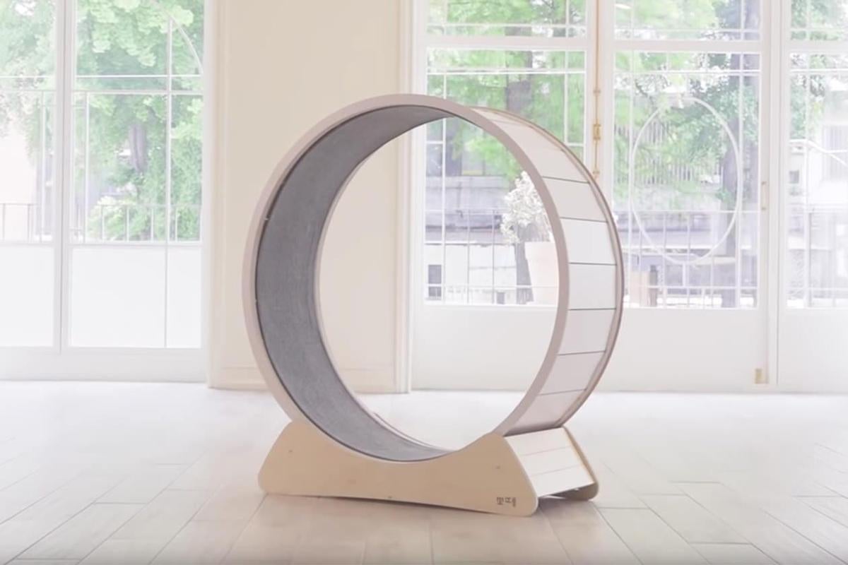 the white cat wheel, which has a light-colored wood base
