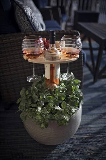 the table with stake inserted into a large potted plant, holding two wine glasses, a bottle, and a snack