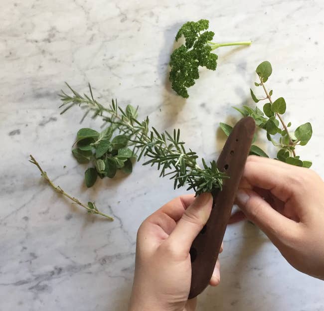A model using the tool to strip herbs