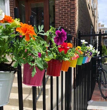 Colorful flowers successful pots bent connected a achromatic obstruction on a sidewalk, enhancing outdoor decor with vibrant blooms