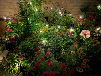 A plot  furniture  filled with assorted  blooming flowers and agleam  drawstring  lights creating a serene, illuminated atmosphere