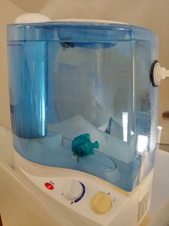 Reviewer's fish in a different humidifier 