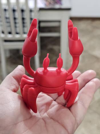 Reviewer holding Red the Silicone Crab