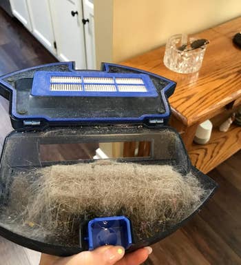a reviewer photo of the vacuum's internal canister filled with dust and pet hair 