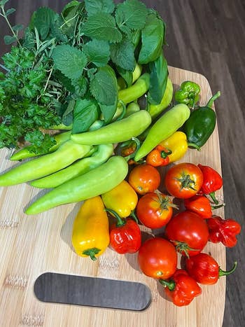 A variety of fresh vegetables including peppers, tomatoes, and herbs on a wooden cutting board