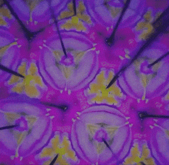 gif of the moving kaleidoscope images with the flowers placed inside
