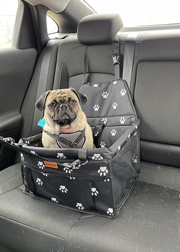 13 Best Dog Car Seats So Fido Can Always Go For A Ride