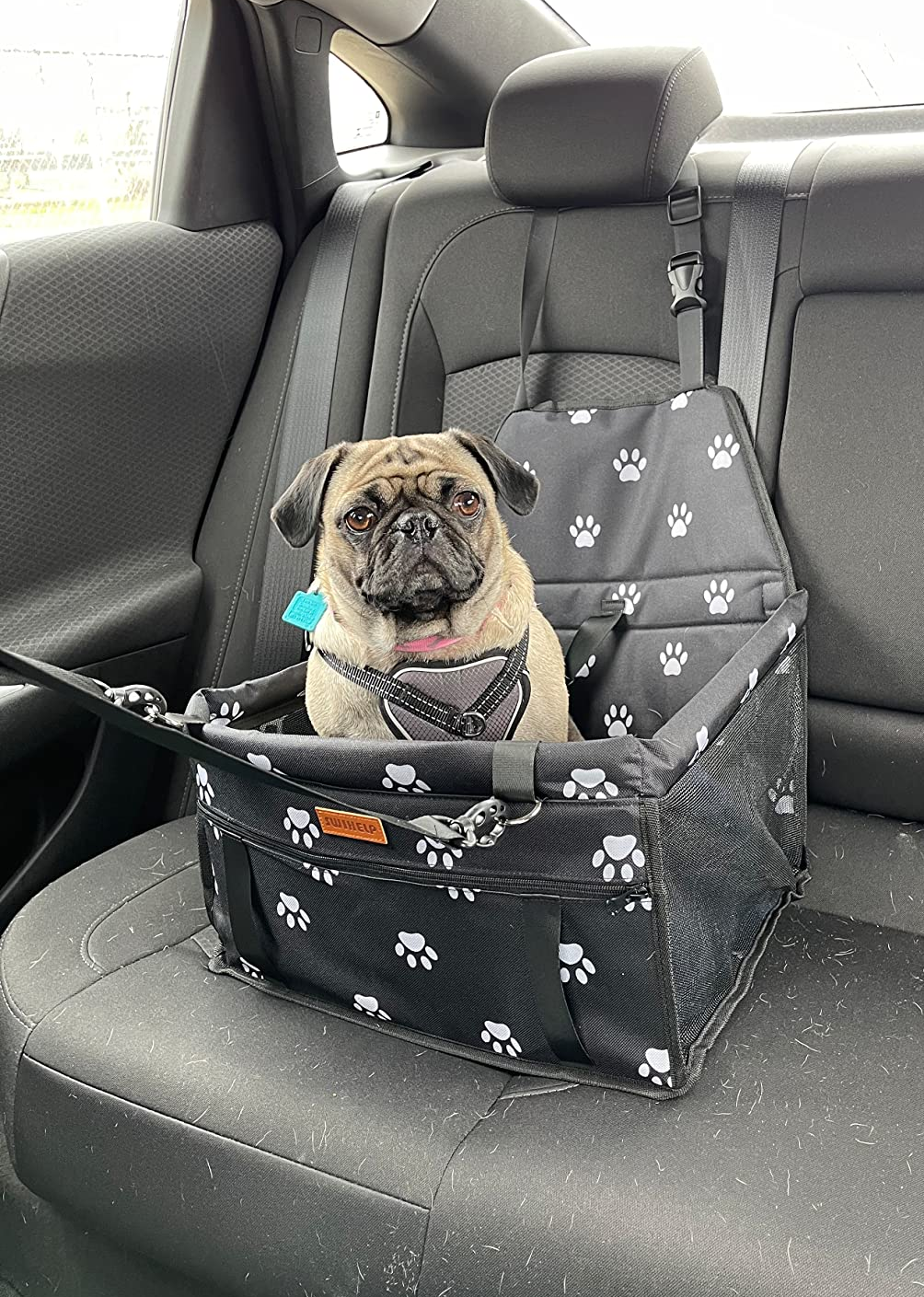 Pug Car Seat Belt Cover - Cartoon Pug Car Seat Belt Cover - Cartoon