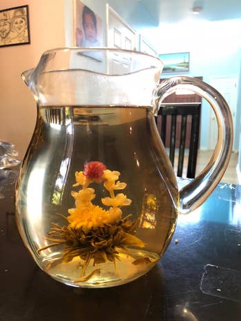 glass pitcher with tea and flower inside