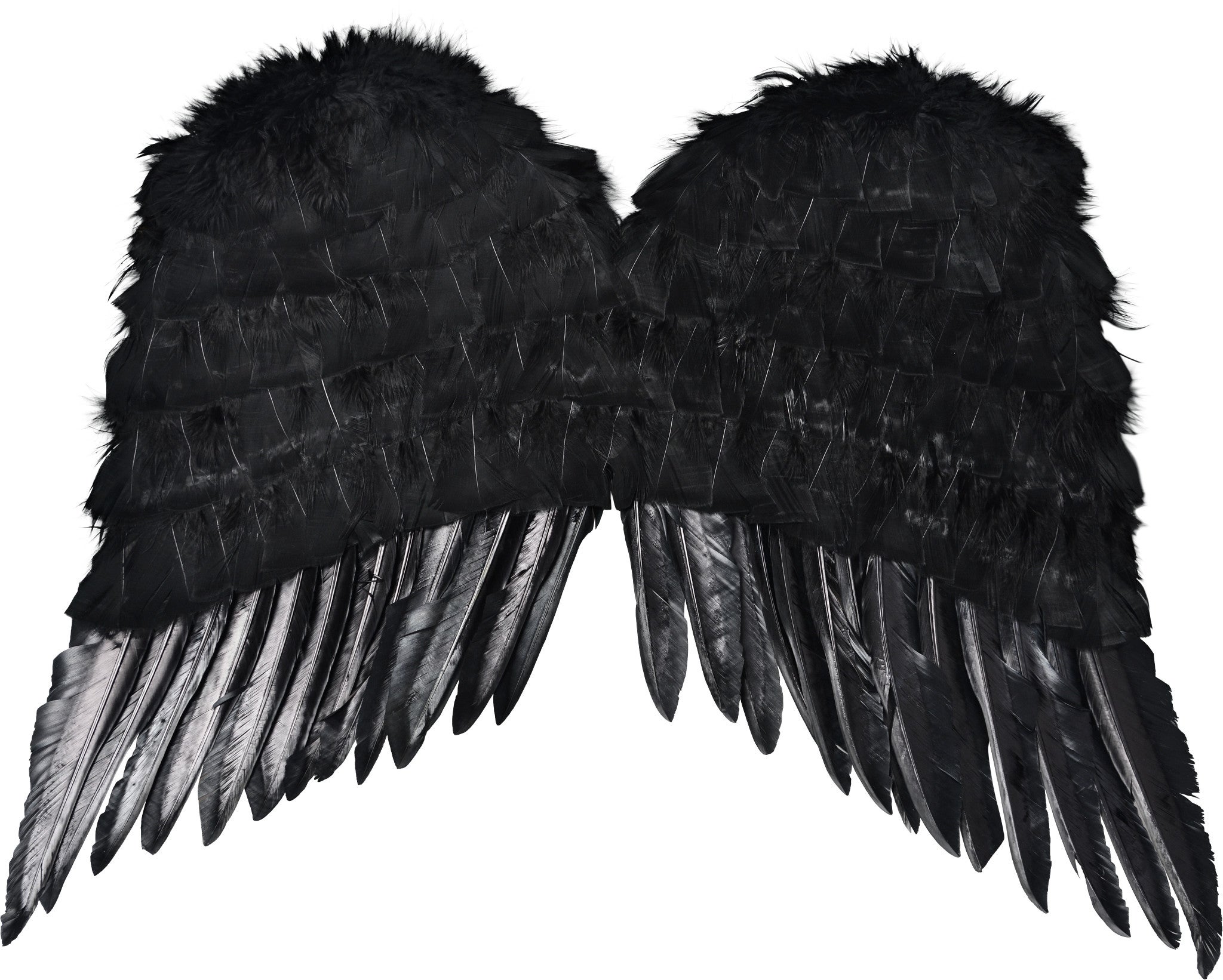 Black wings accessory