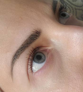 close up of reviewer's eyebrow filled in