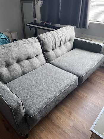 on left: gray couch with some wear-and-tear in living room