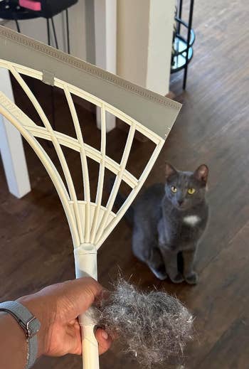 Reviewer holding broom next to a pile of cat hair and the cat from whence it came 