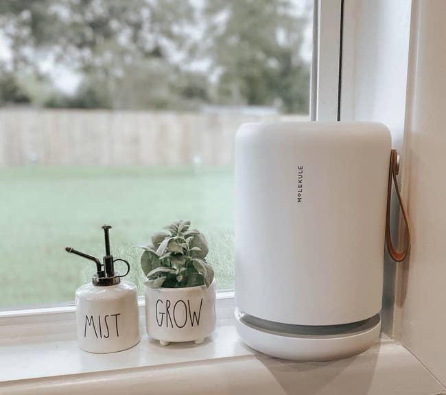 Reviewer image of white air purifer with leather strap on the side sitting on windowsill next to succulent and waterer 