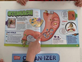 image of a child's hand pointing at a page about the stomach