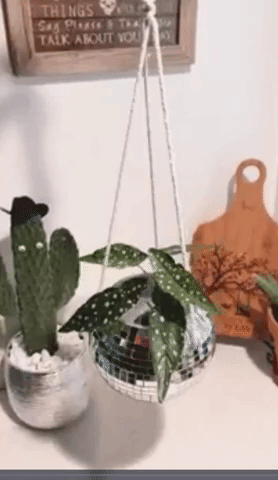 a gif of the disco ball planter twirling and shining