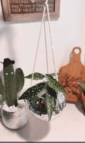 a gif of the disco ball planter twirling and shimmering