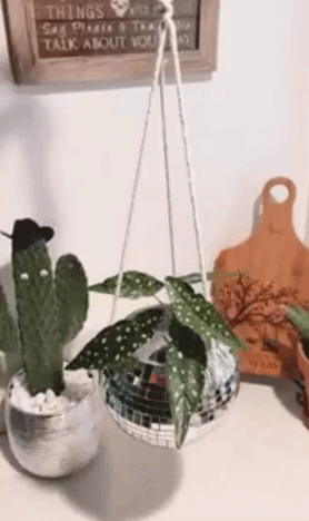 a gif of the disco ball planter hung from the rope, twirling and shimmering