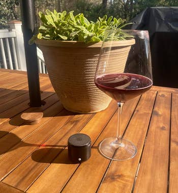 The tiny bluetooth speaker next to a plant and glass of wind for size