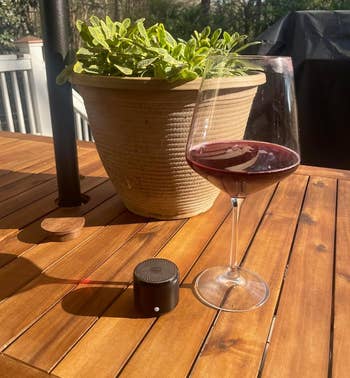 The tiny bluetooth speaker next to a plant and glass of wind for size