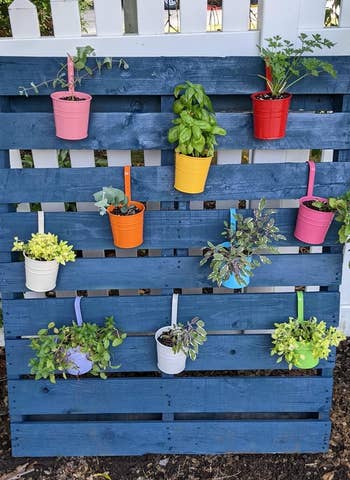 another reviewer's garden with various plants in colorful pots mounted on a blue pallet