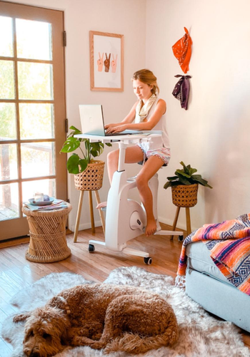 reviewer working on a laptop on the rolling desk bike