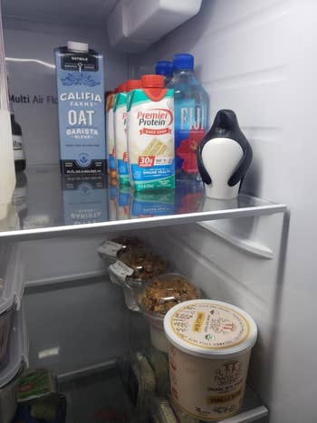 A reviewer's open fridge stocked with various beverages, a penguin-shaped deodorizer, and snacks on the shelves