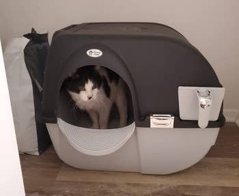 a reviewer photo of their cat standing inside the litter box 