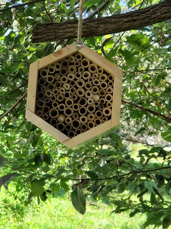 reviewer photo of the hexagonal bee house, which has small hollow tubes inside for the bees to burrow
