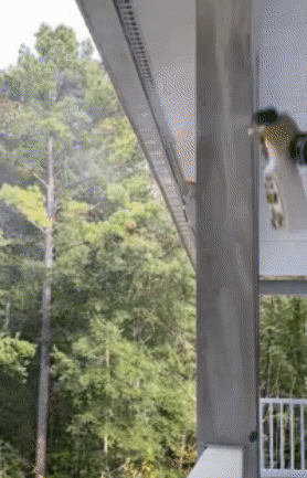 time lapse gif of reviewer spraying a mildew-stained post on their porch and showing how the stains disappear 