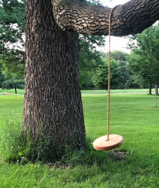 Wooden tree swing hanging from a sturdy branch with a background of grass and trees