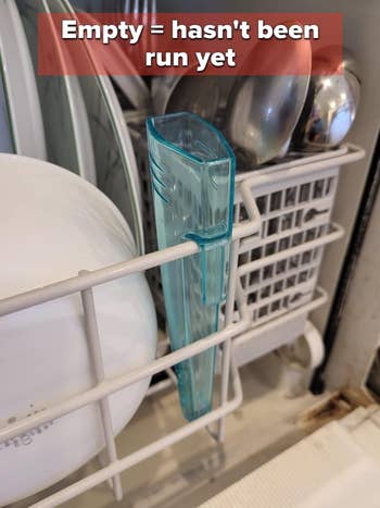 Dishwasher with cleanable  dishes, a bluish  rinse assistance  headdress  signals it hasn't tally  yet