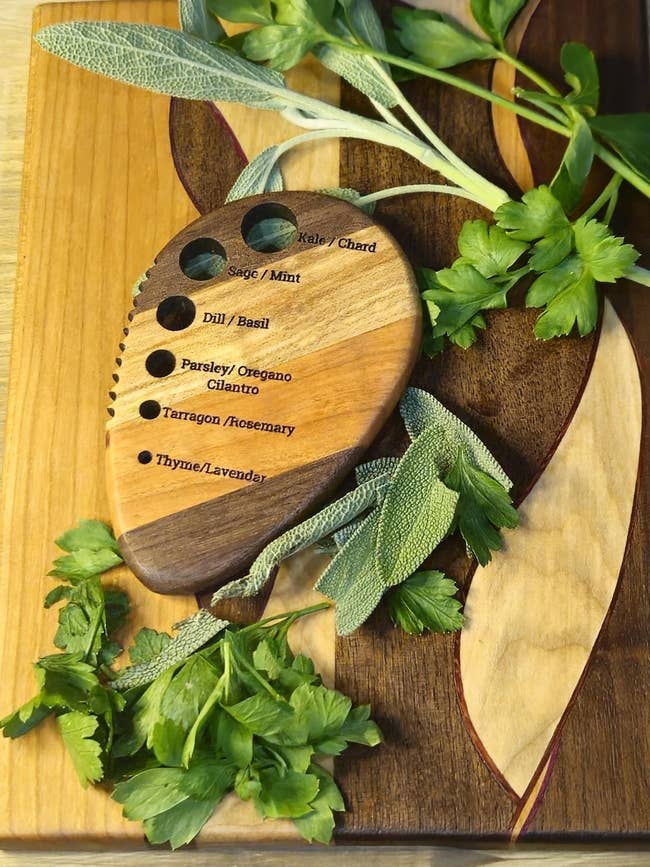 Wooden herb stripper connected  a cutting committee  surrounded by sage and parsley. Labeled holes for kale, mint, dill, basil, parsley, and more
